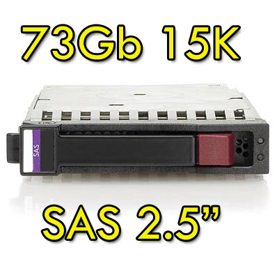 Rnw365 Hard Disk per Server HP SAS 2.5  73Gb 15K Hot Swap per Proliant DL ML BL G5 G6 G7