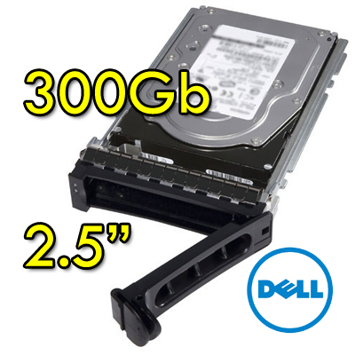 Rnw365 Hard disk per Server Dell 9WE066-150 300Gb SAS 10K 2.5  Hot Swap per R610 R710 R910 Altri