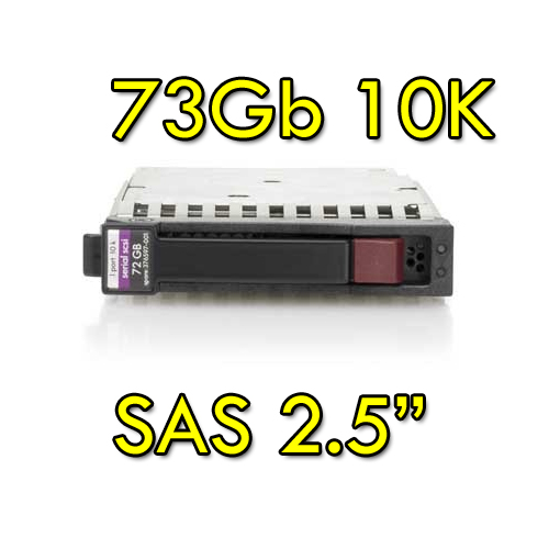Rnw365 Hard Disk per Server HP SAS 2.5  73Gb 10K Hot Swap per Proliant DL ML BL G5 G6 G7