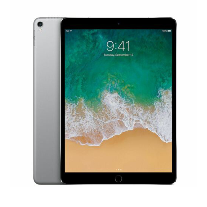 Rnw365 Apple iPad Pro 10.5  (A1709) 256GB WiFi-Cellular 4G MQF02LL/A SpaceGray [Grade B]