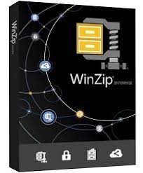 WinZip 27 Pro Single-User	EN/DE/ES/FR/IT	Windows