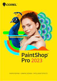 PaintShop Pro 2023 Corporate Edition License Single User