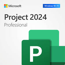 Project Professional 2024