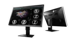 EIZO - monitor medicale - RX660