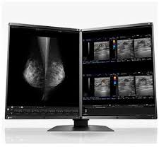 EIZO - monitor medicale - RX560-MD