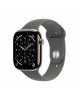 Apple Watch Series 11Â GPS + Cellular 46mmÂ Natural Titanium Case with Stone Grey Sport Band - S/M