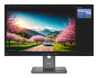 Lenovo ThinkVision P32UD-40 31.5 / IPS / UHD (3840x2160) / 1x HDMI 2.1 TMDS, 1x DP 1.4 , 1x DP 1.4 Out, 1x Thunderbolt 4 , 1x Thunderbolt 4 Out / 1x thunderbolt 4 , 1x USB-B , 4x USB-A , 1x USB-C / 3Y