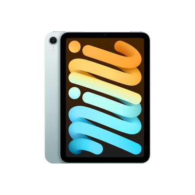 iPad mini Wi-Fi 256GB - Blue