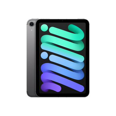 iPad mini Wi-Fi + Cellular 256GB - Space Grey