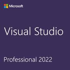 Visual Studio Professional 2022 Nonprofit Perpetuo